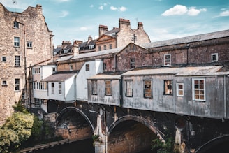 An architectural scene featuring historic stone buildings with multiple chimneys and tall windows, constructed on an old bridge. The structure spans over a river or canal, with lush greenery visible below. The weathered appearance and rustic colors convey a sense of history.