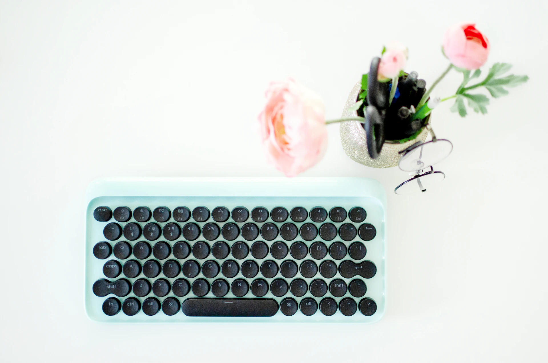 pink rose on white table