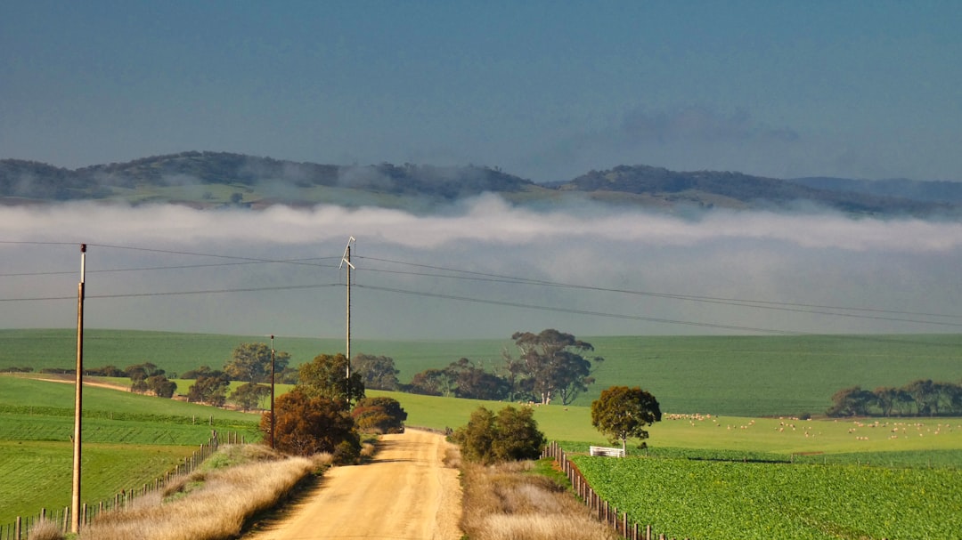 Plain photo spot Bethel Road Australia