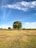 green grass field under blue sky during daytime