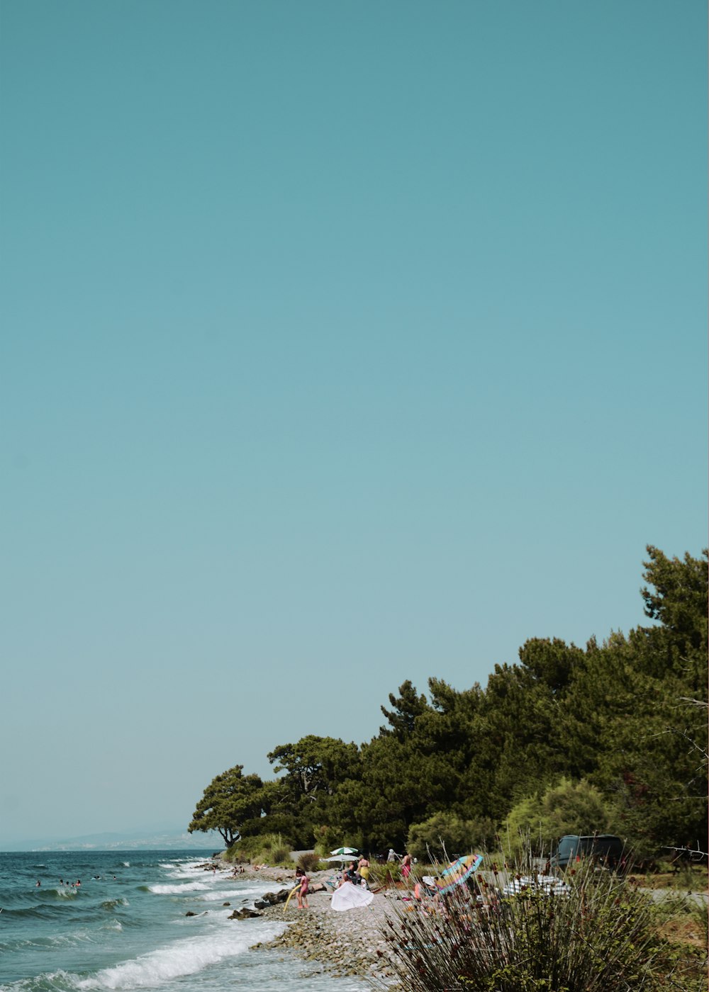 green trees under blue sky during daytime