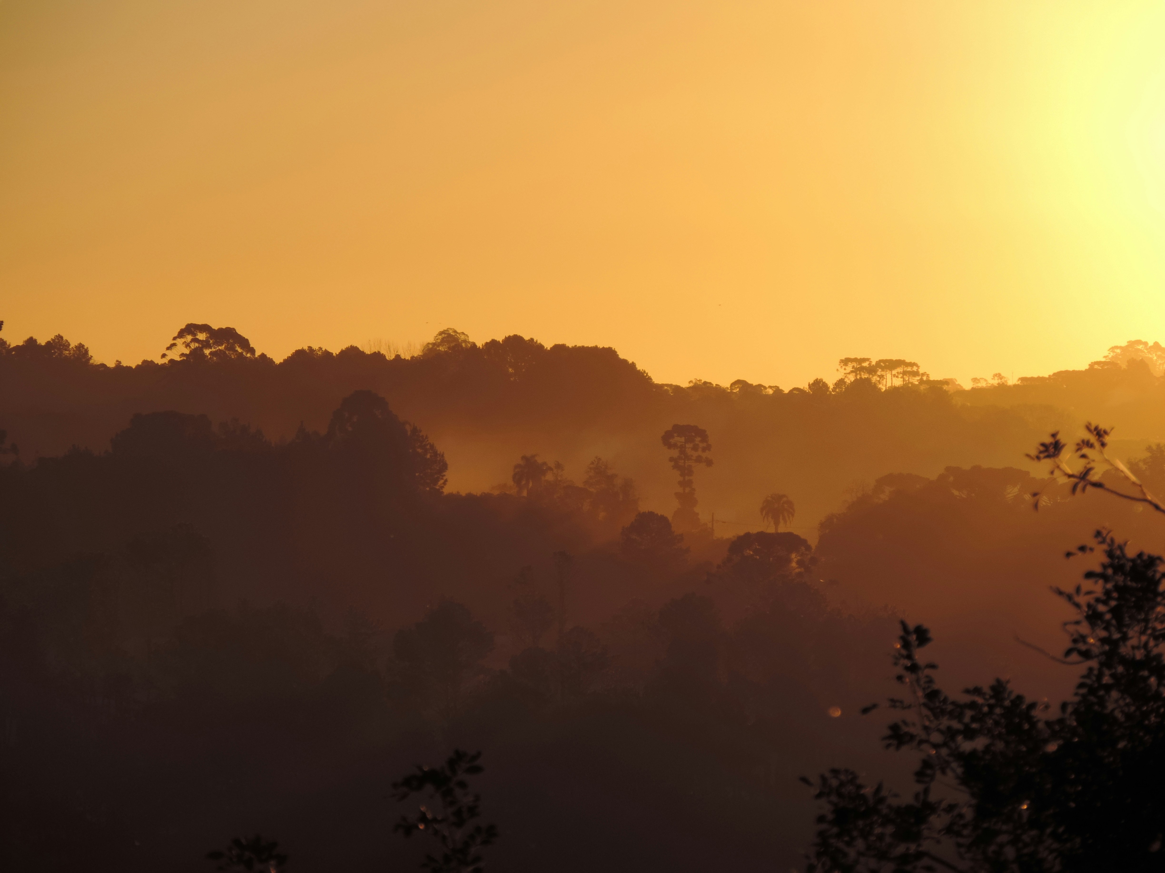 Photo by ricardo_salvatierra