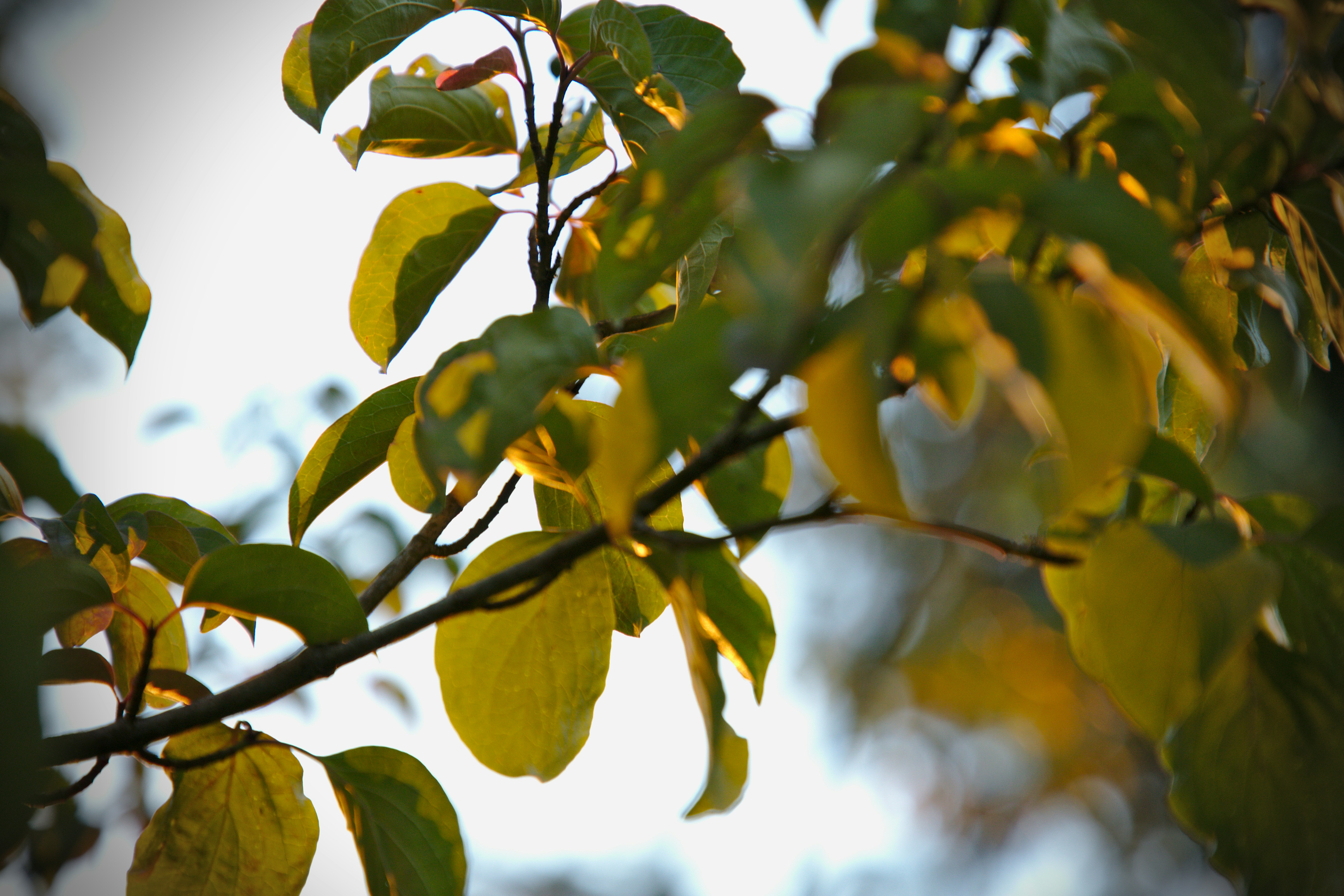 Photo by otters_anna