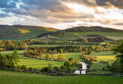 green grass field with trees and houses