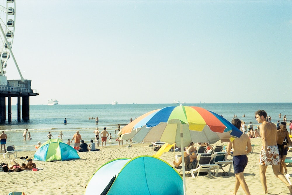 people on beach during daytime