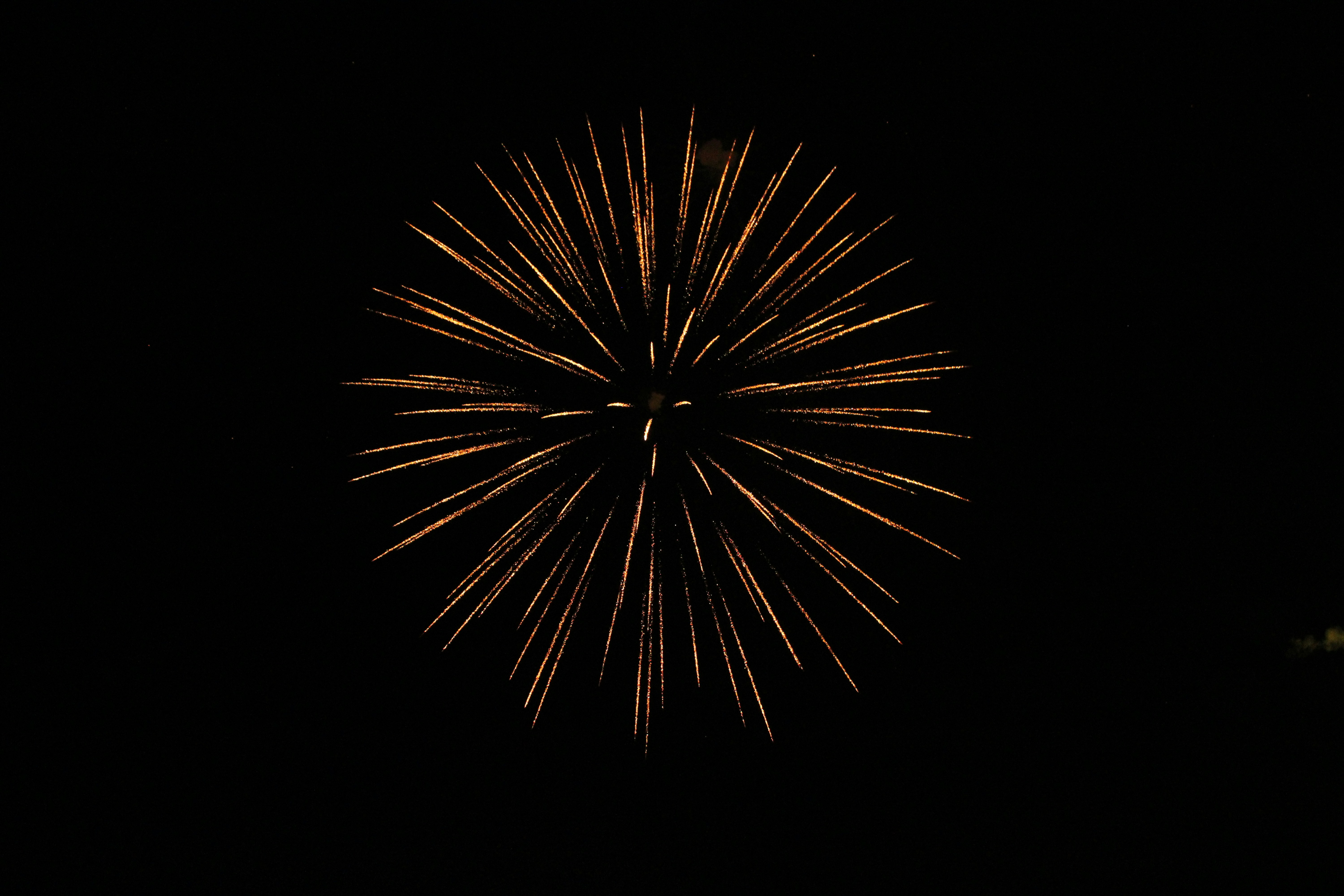 Fireworks celebration