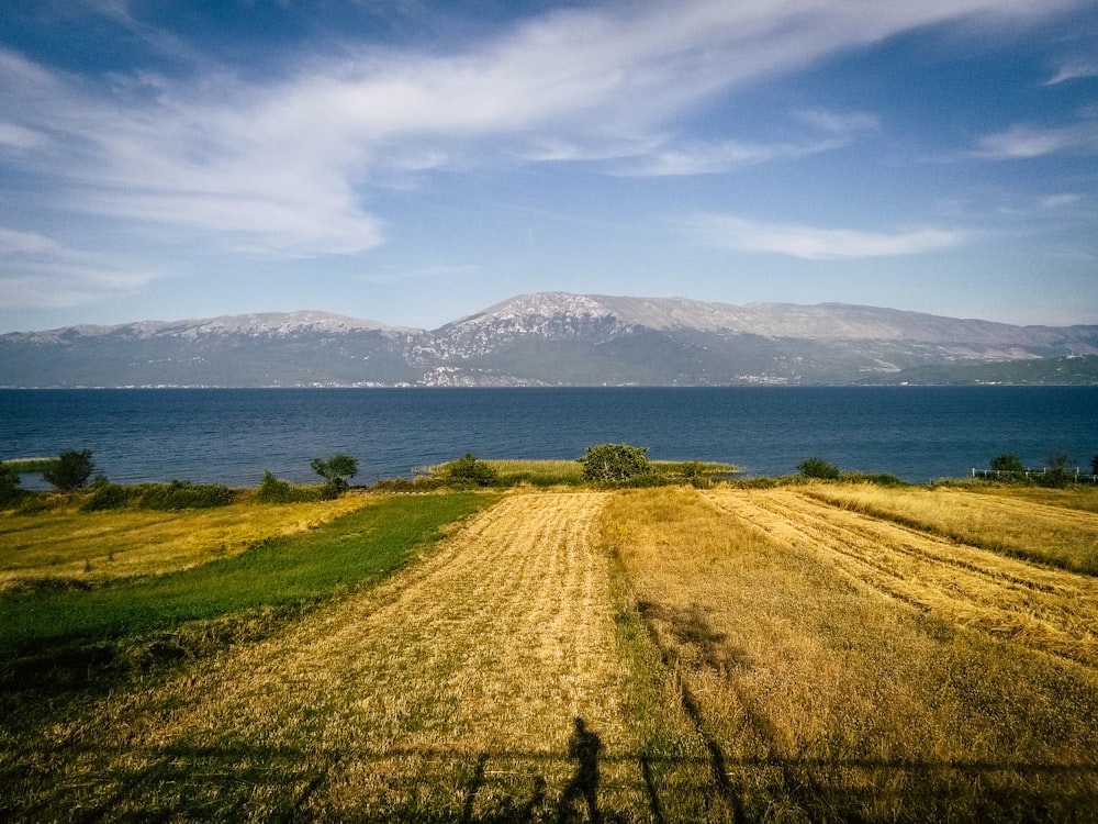 Champ d’herbe verte près du plan d’eau sous un ciel bleu pendant la journée