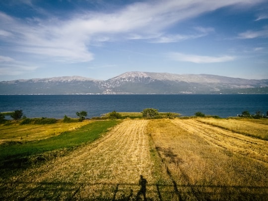 green grass field near body of water under blue sky during daytime in Pogradec Albania