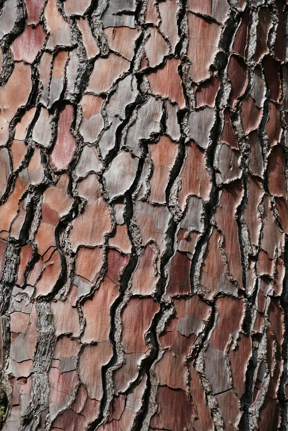 brown and black concrete brick