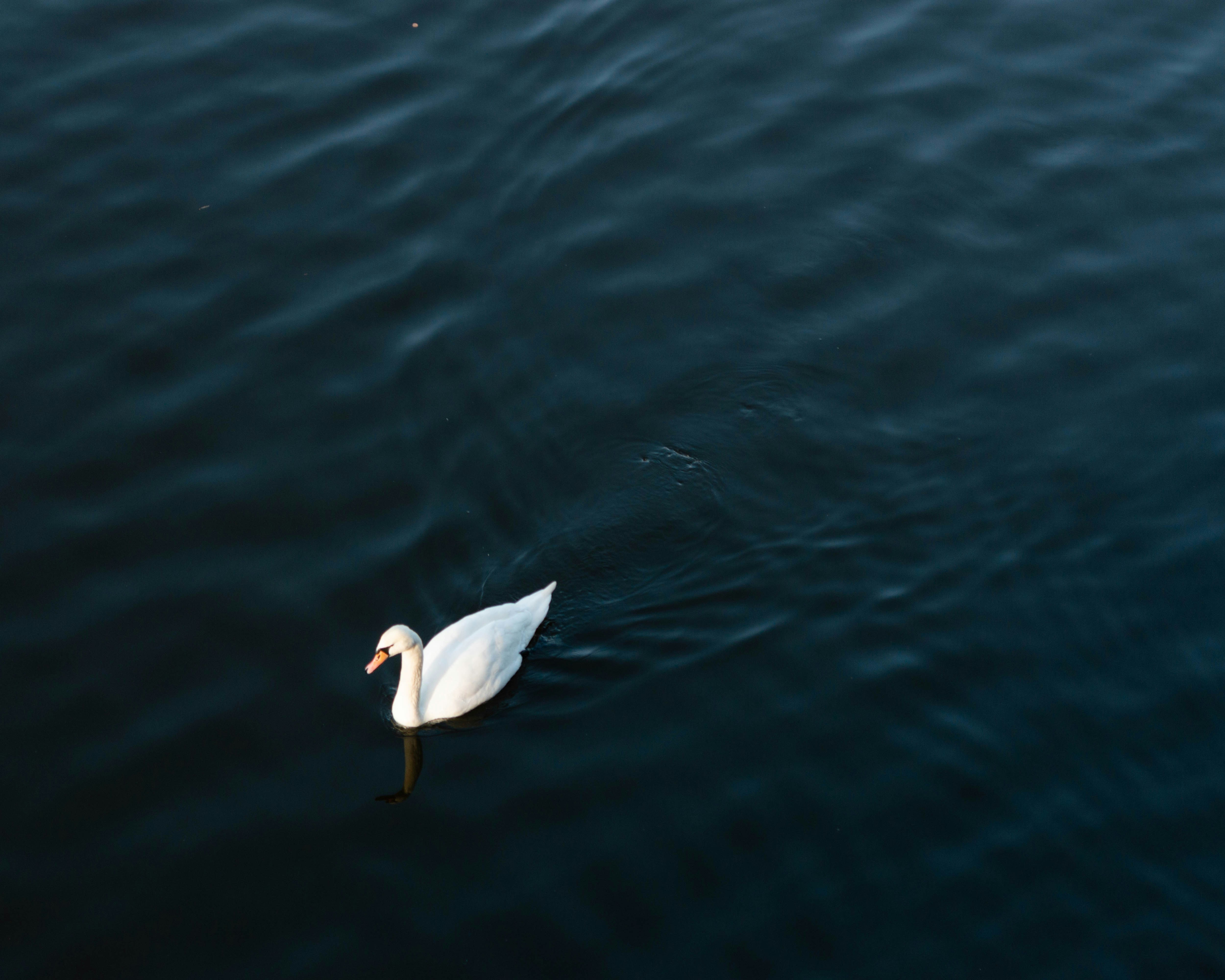 Photo by gautierkempa