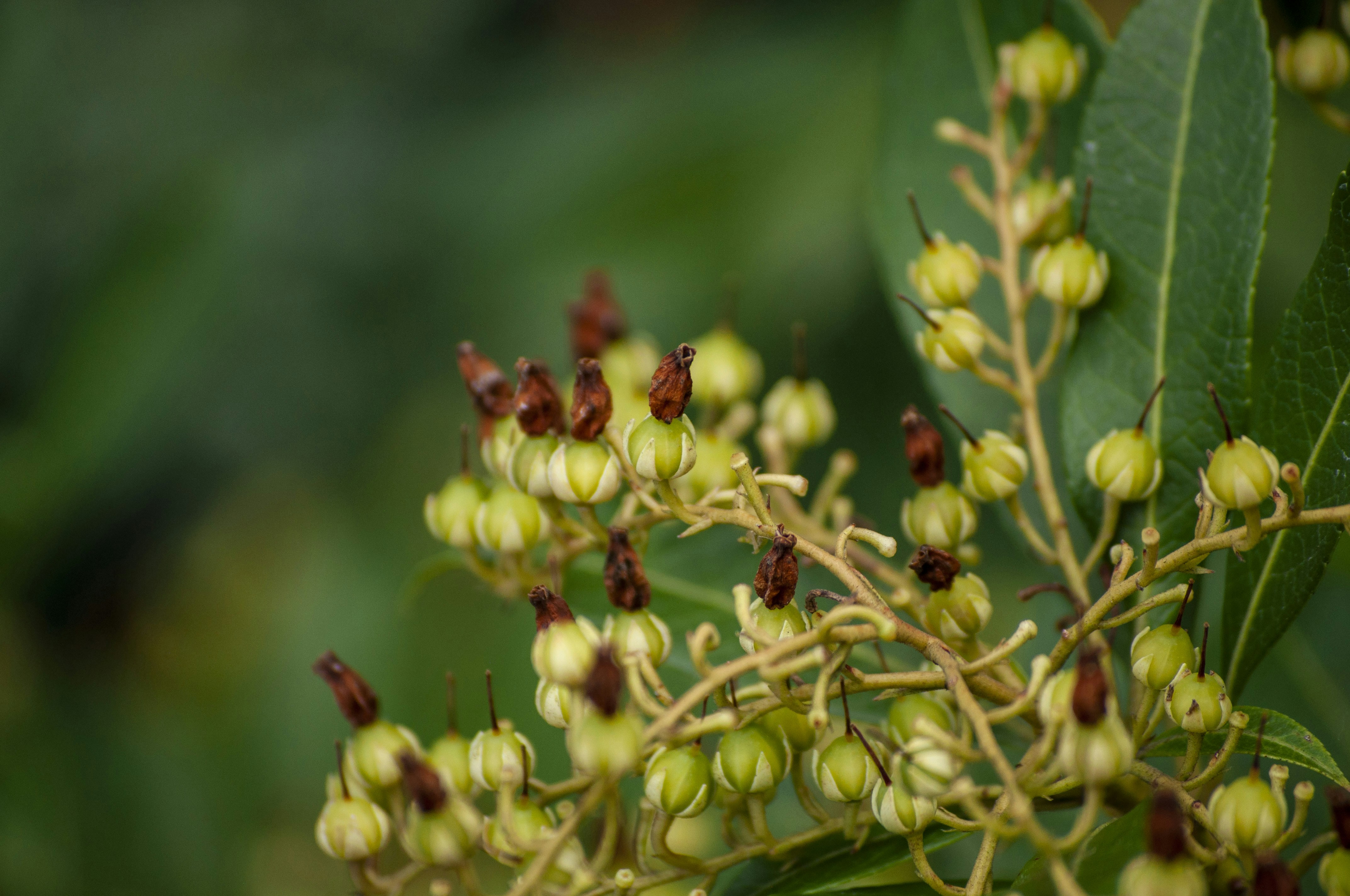 Photo by ben_vaughn_189