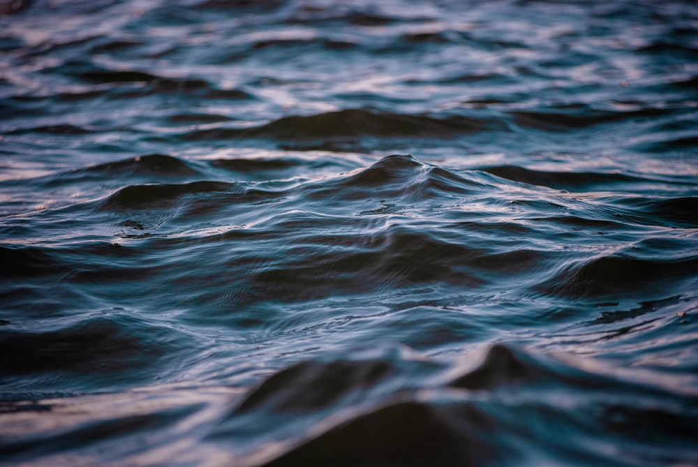 close up photo of water