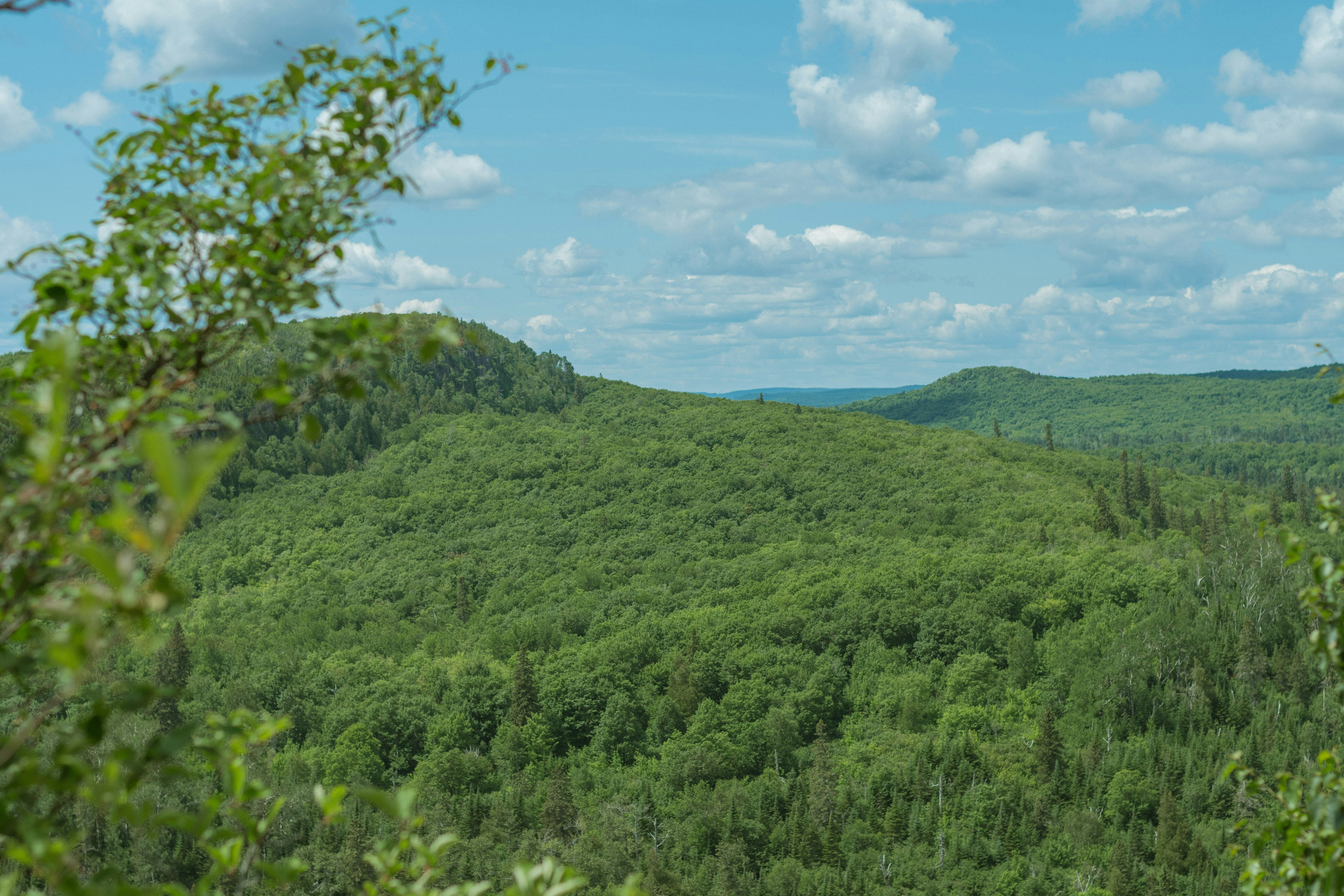 Photo by tommygarritty