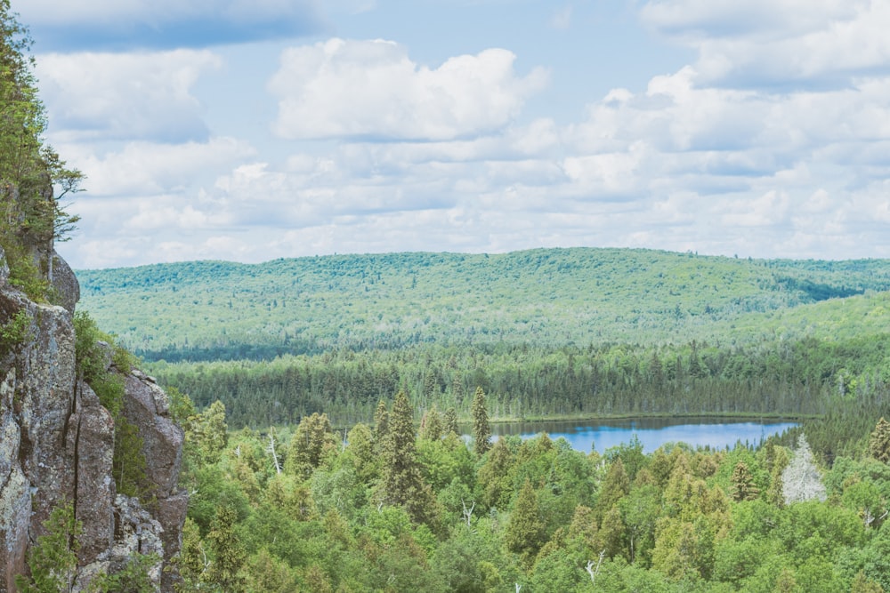 green trees near body of water under blue sky during daytime