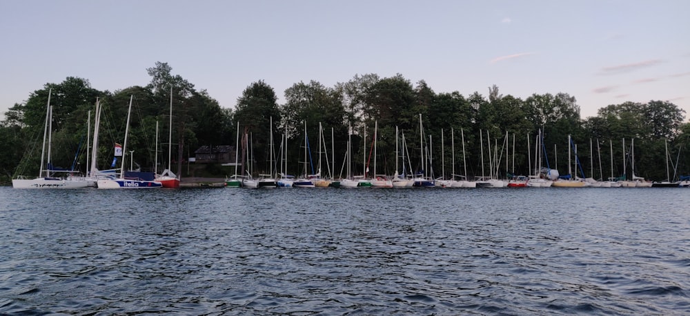 white boats on body of water during daytime