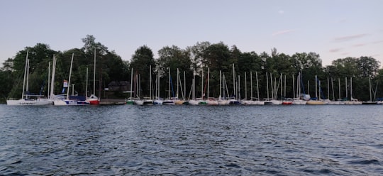 white boats on body of water during daytime in Trakai Lithuania