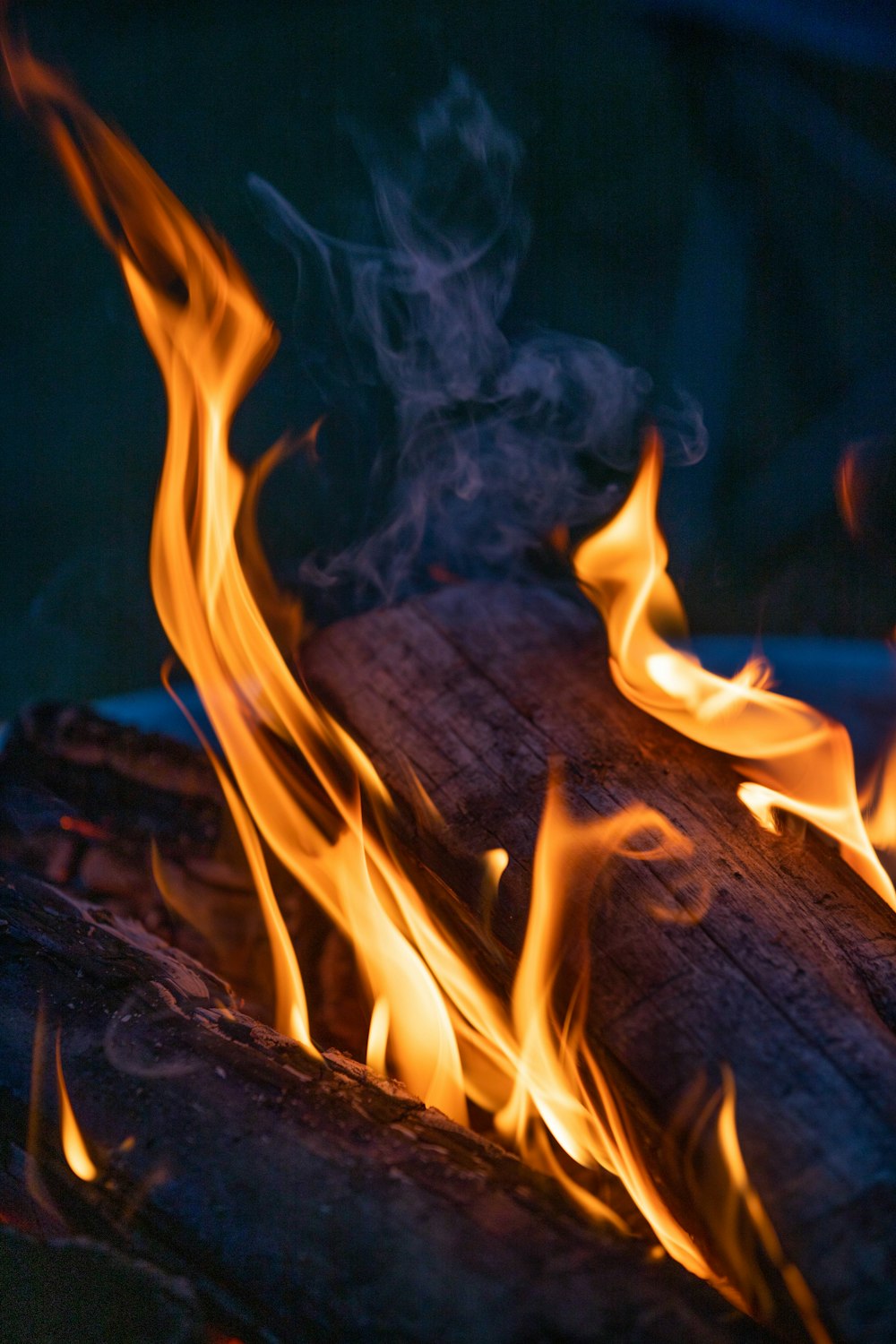 close up photo of fire
