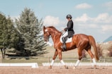 man in black helmet riding brown horse during daytime
