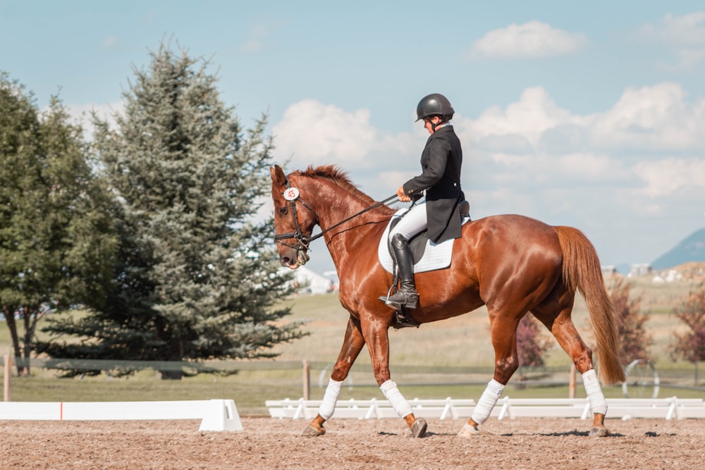 man in black helmet riding brown horse during daytime