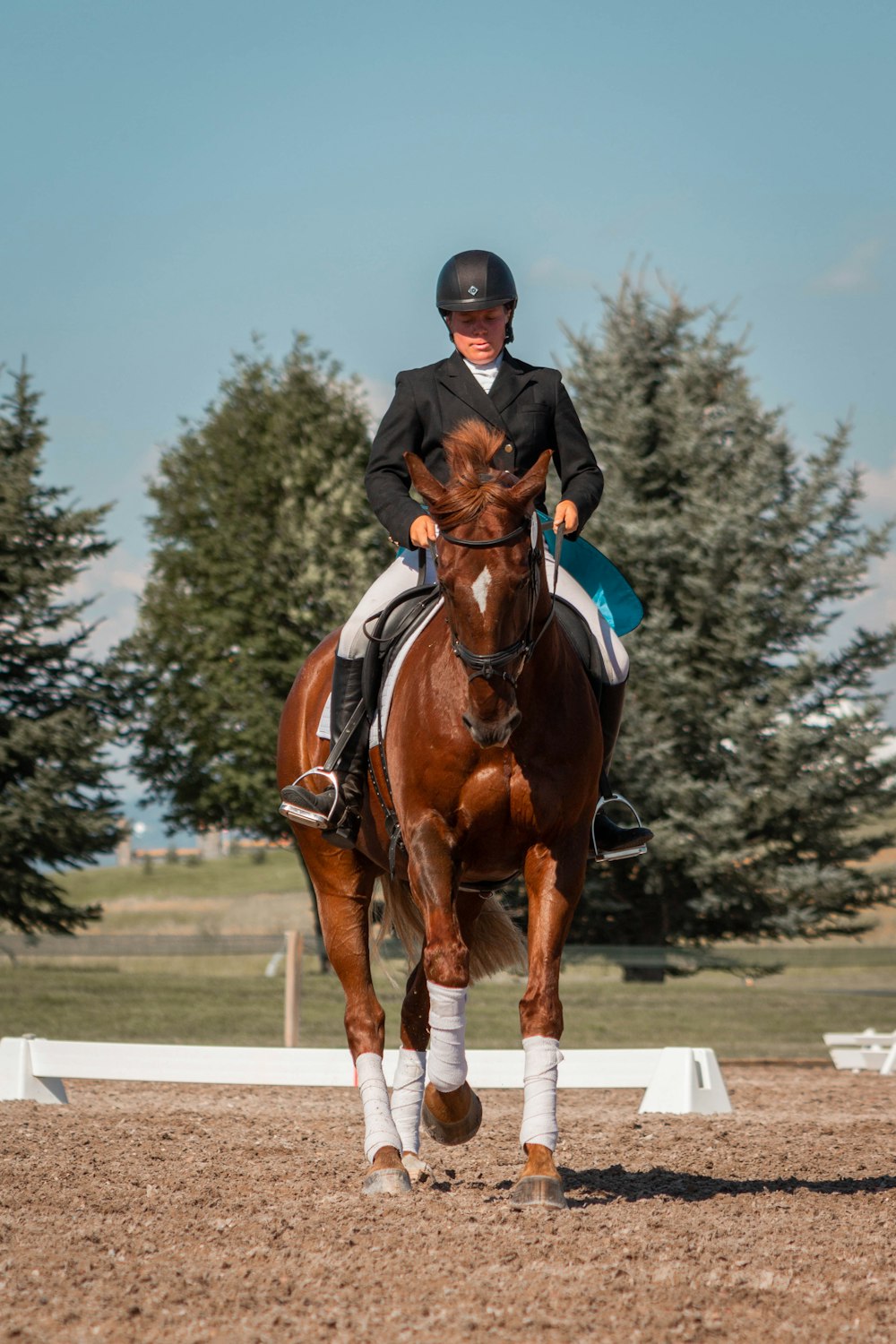 man in brown leather jacket riding brown horse during daytime