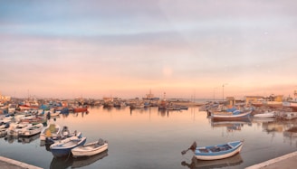 Morning light casting golden hues on a quiet harbor filled with colorful fishing boats.