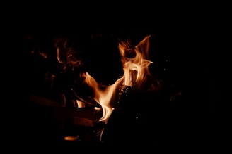 Flames dance around pieces of wood, creating a dynamic and lively display of light and motion against a dark background. The fire emits a warm glow, with distinct shapes and a vibrant energy.