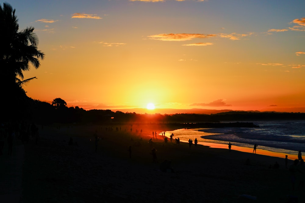 silhouette of people on beach during sunset