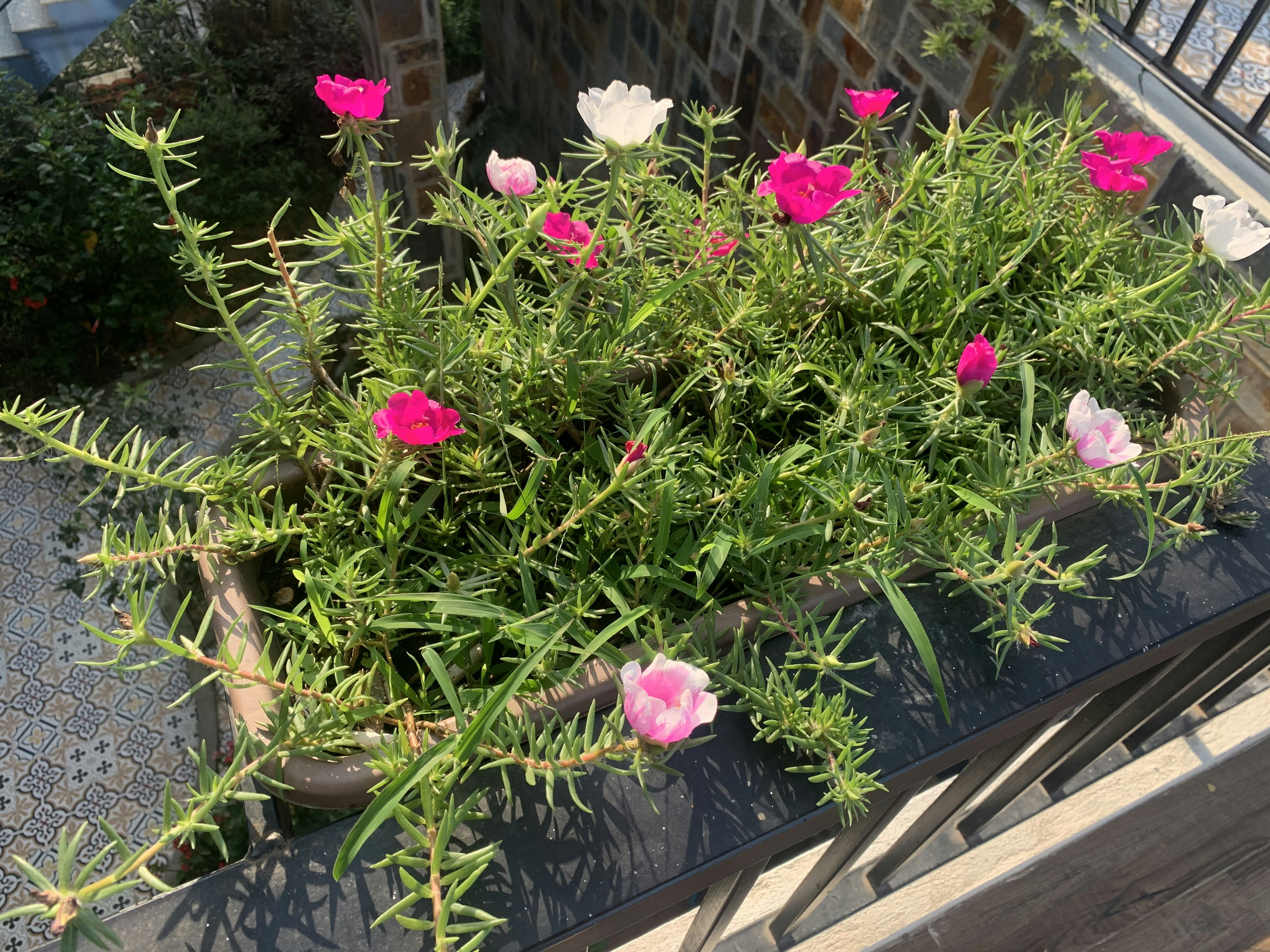 Ručně vyráběný truhlík