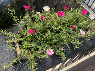 A decorative planter box overflowing with vibrant seasonal blooms on a cozy patio