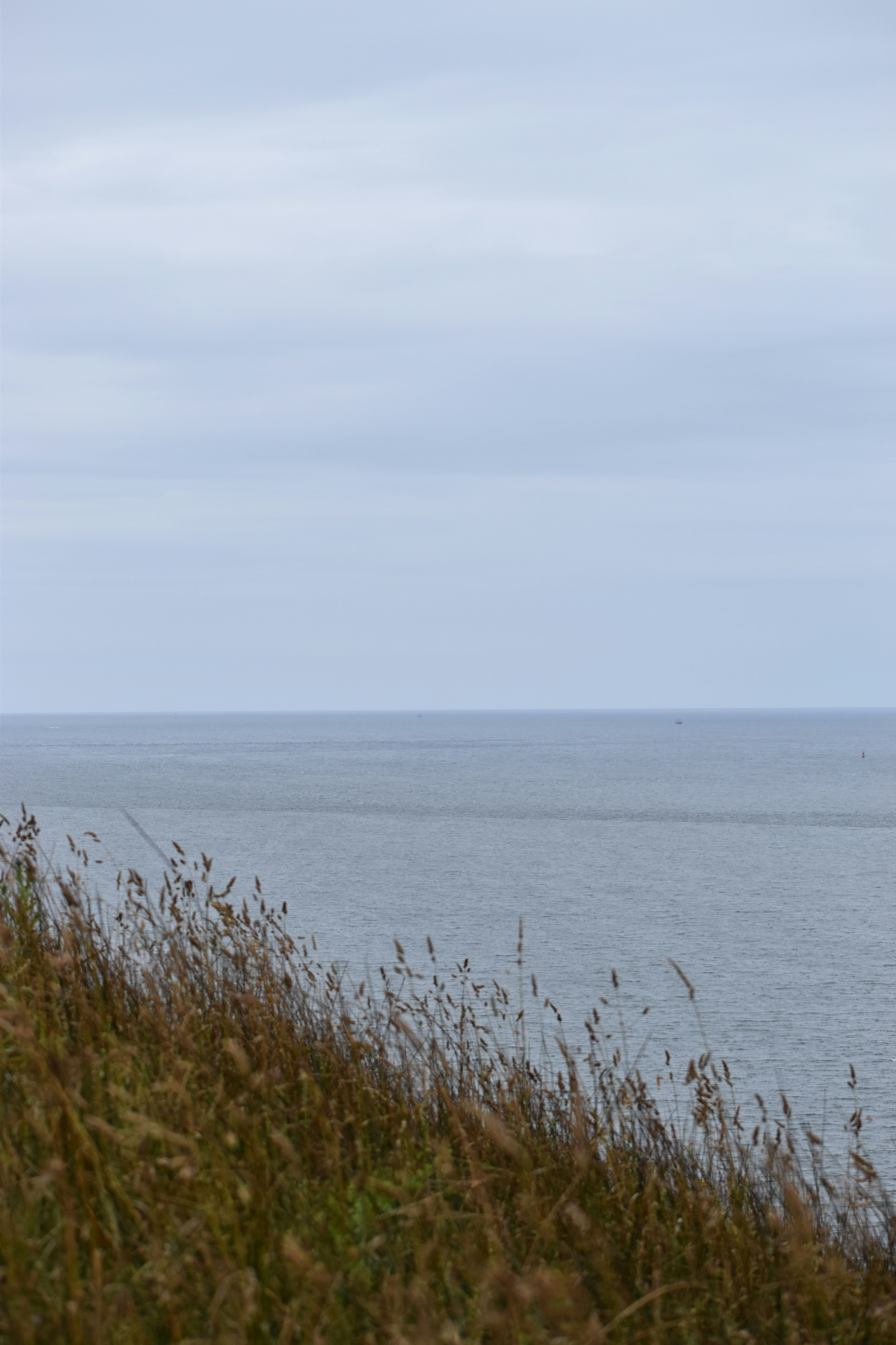 Photo by pictures102