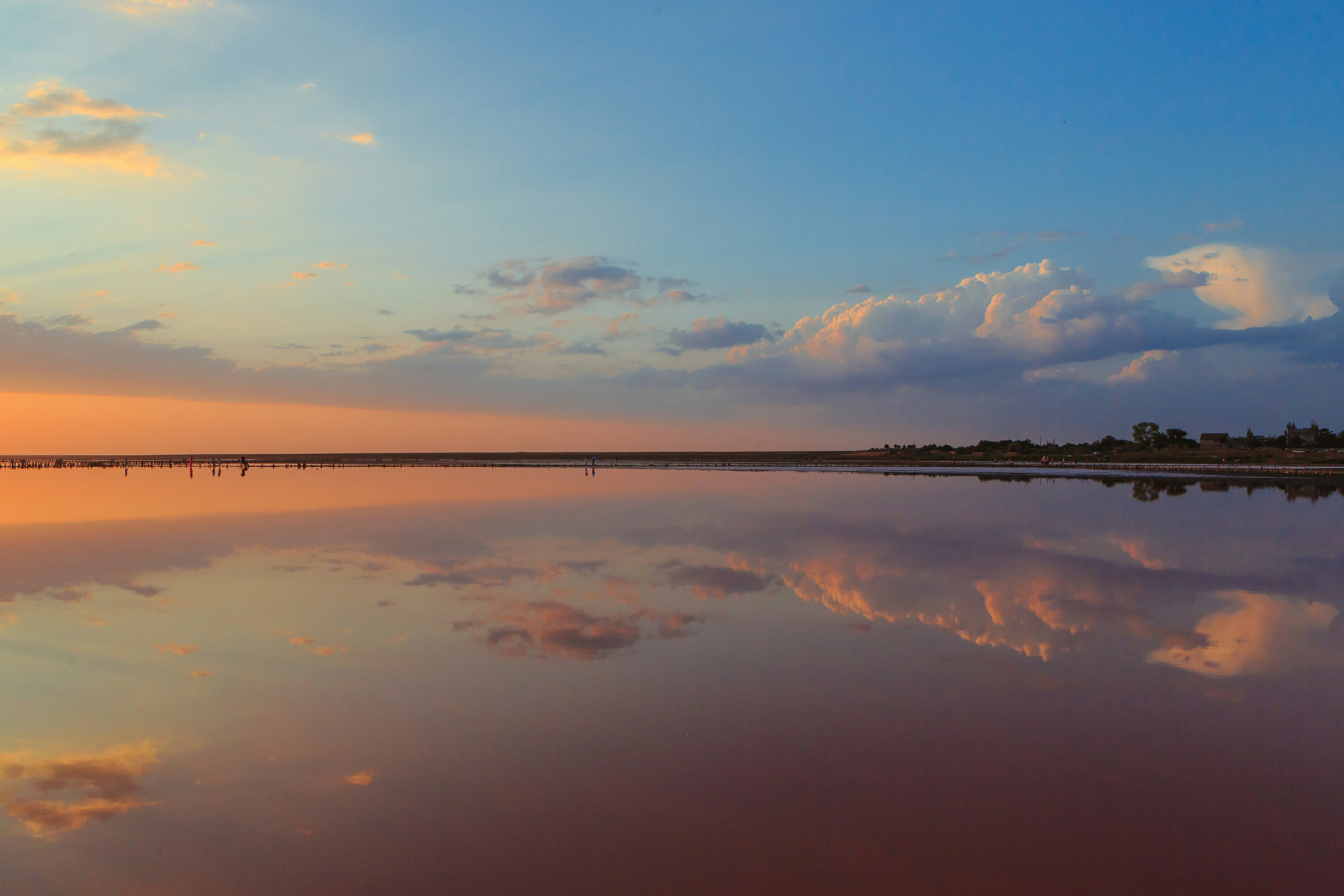 Photo by olga_kononenko