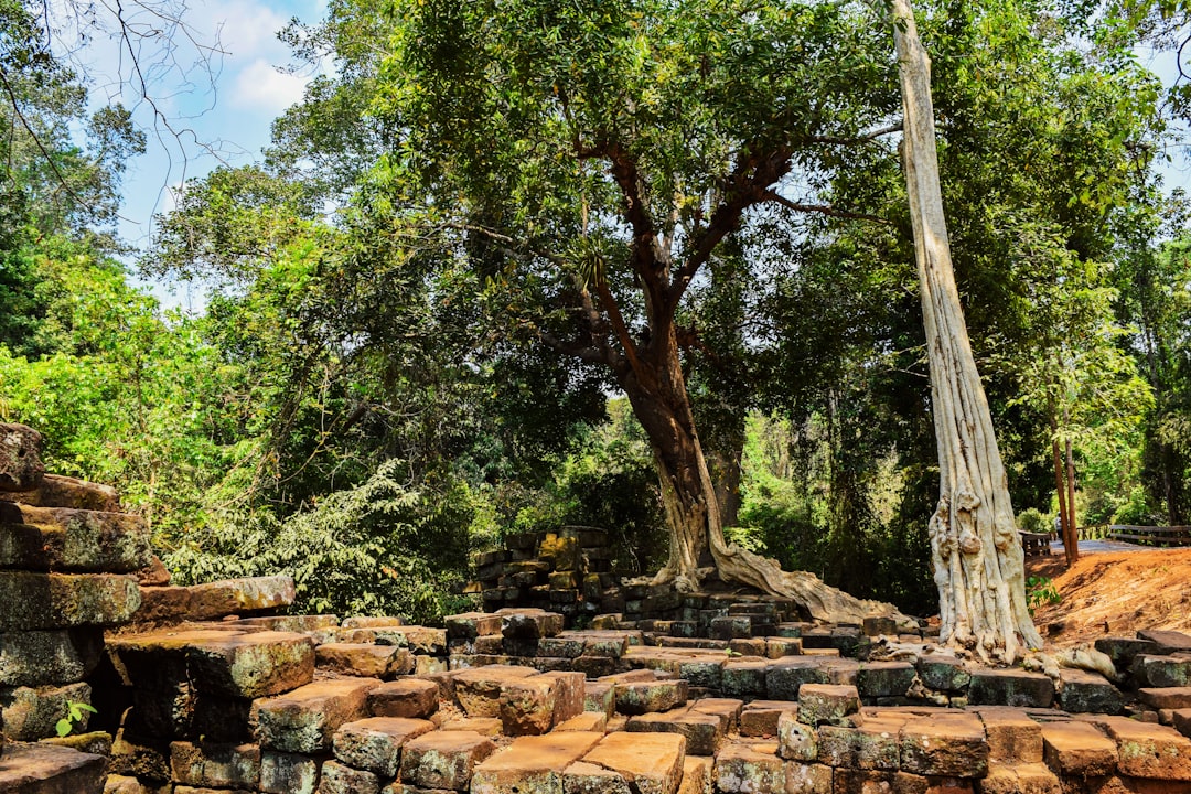 Historic site photo spot Siem Reap Siem Reap