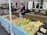 A bustling farmers market stand features a variety of fresh vegetables displayed in an orderly arrangement. Basketfuls of potatoes, different types of beans, and other produce are laid out across colorful, patterned tablecloths. A vendor wearing a cap, gloves, and a mask stands behind the stall, assisting customers.