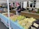 A bustling farmers market stand features a variety of fresh vegetables displayed in an orderly arrangement. Basketfuls of potatoes, different types of beans, and other produce are laid out across colorful, patterned tablecloths. A vendor wearing a cap, gloves, and a mask stands behind the stall, assisting customers.