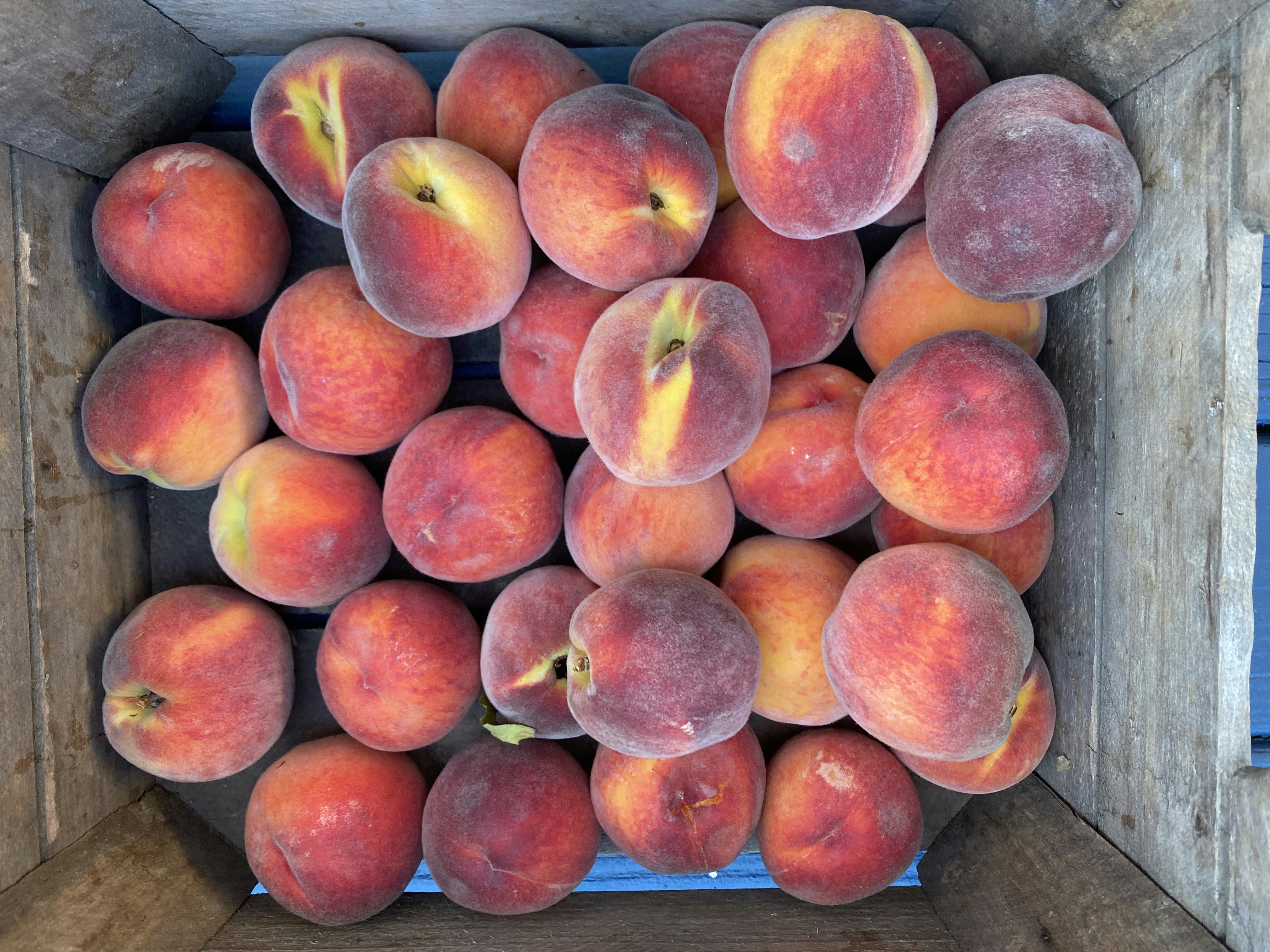 Golden-orange fresh peaches with velvety skin in a rustic wooden crate with warm sunlight, soft peach and amber tones