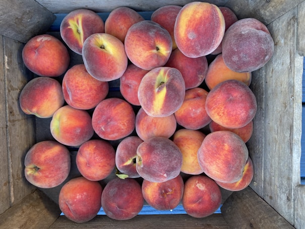 A close-up of freshly picked peaches resting in a rustic wooden crate.