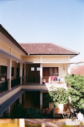 green plant near brown and white house