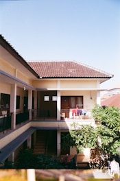 green plant near brown and white house