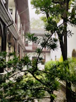 Serene courtyard view from the hotel rooms, showcasing peaceful surroundings.
