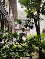 A serene courtyard with natural stone flooring and lush greenery under soft Mediterranean light.