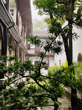 Serene courtyard view from the hotel rooms, showcasing peaceful surroundings.