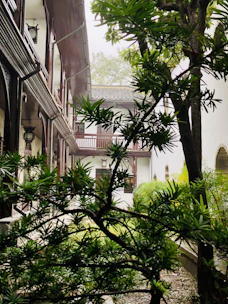 A luxury riad courtyard with traditional Moroccan architecture and lush greenery.