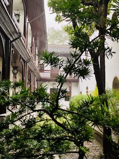 A serene courtyard in Dev-Maya Developers' Brij Basundhara with traditional decor and soft sunlight.