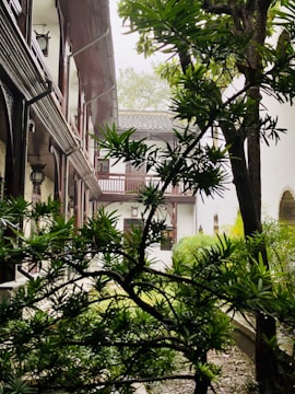 A serene garden courtyard surrounded by elegant villas, showcasing the peaceful living spaces crafted by Gajraj Estate.