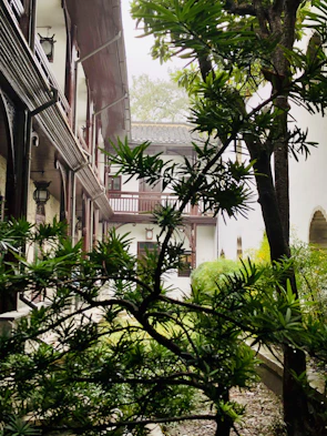 Serene courtyard of a heritage hotel with traditional Indian arches and lush greenery.