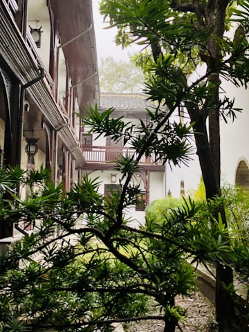 Tranquil courtyard of Vedic Homes with soft saffron and cream tones, gentle flower petals scattered around, and a glimpse of Krishna-inspired decor.