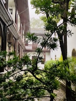 A serene courtyard surrounded by traditional architecture with wooden balconies and elegant details. The lush greenery, including various trees and shrubs, creates a tranquil and natural atmosphere. Soft light filters through the leaves, enhancing the peaceful setting.