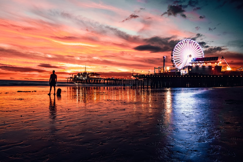 people walking on dock near ferris wheel during sunset