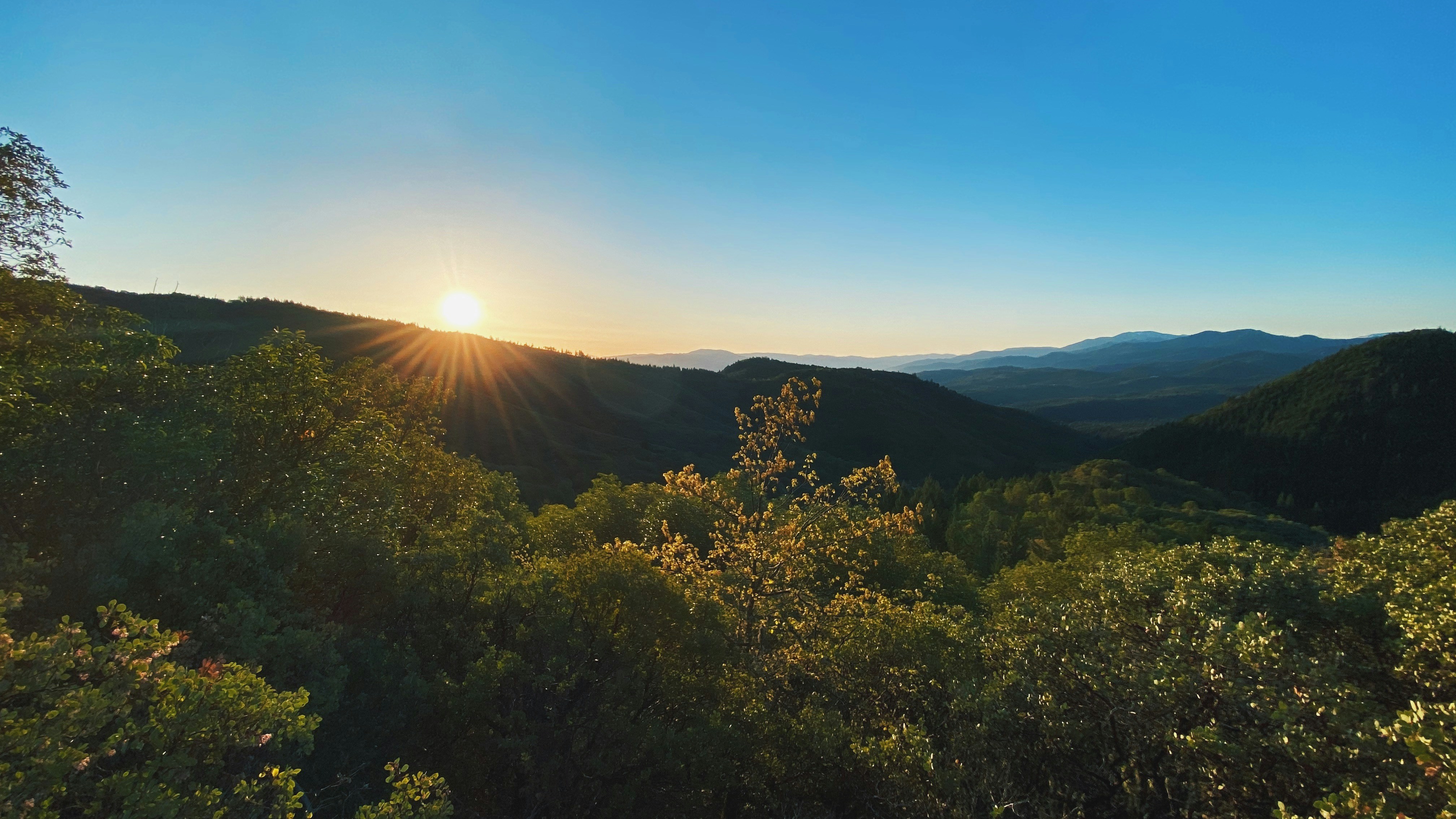green trees on mountain during daytime