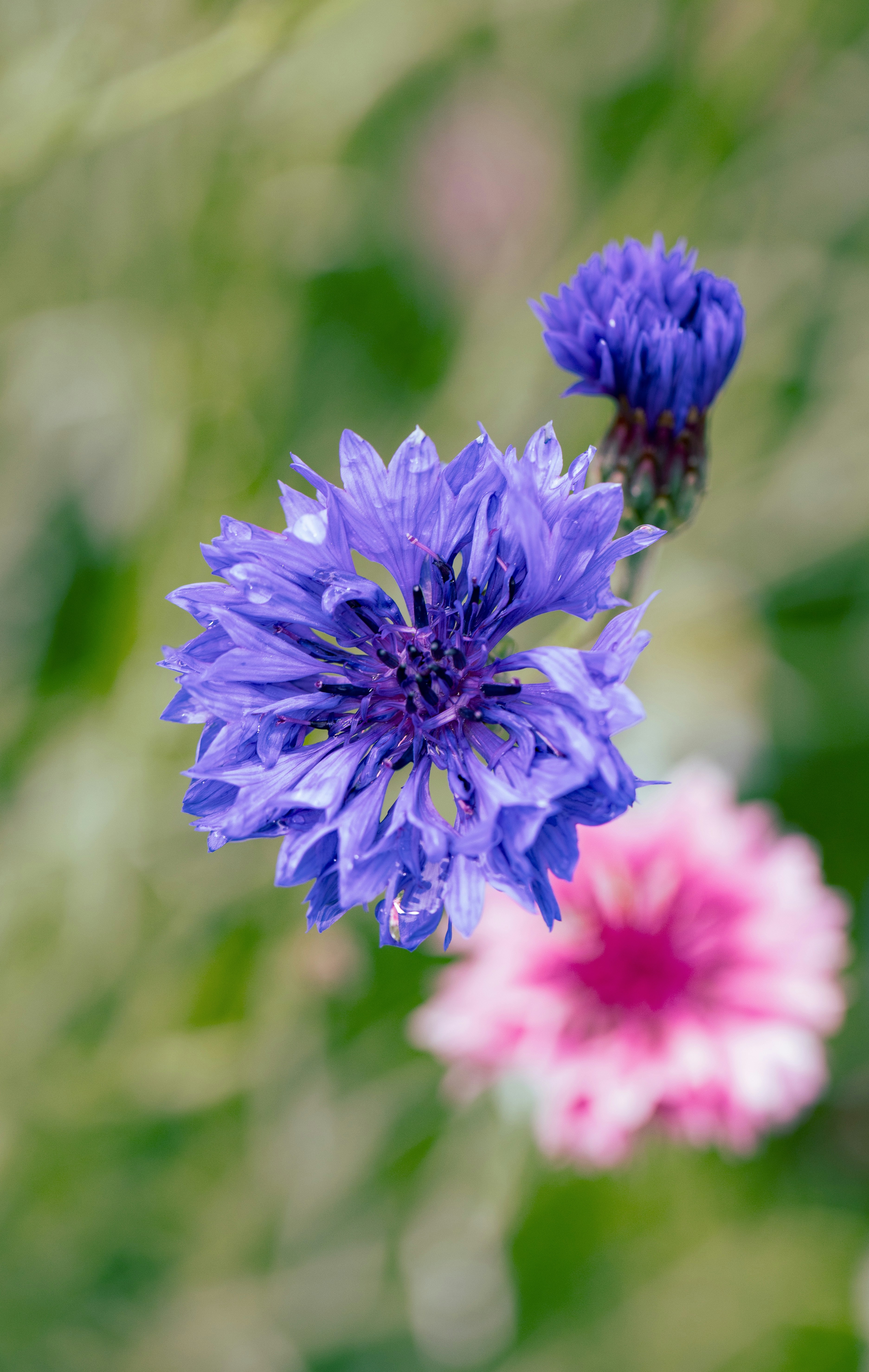 Photo by grievek1610begur